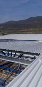 1CM TEKKAT SANDVİÇ PANEL SIKIŞTIRILMIŞ YOĞUN KÖPÜK GARANTİLİ