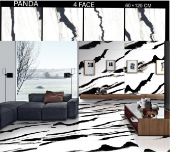 60*120 PANDA