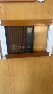 PİLİSERİ SİNEKLİK