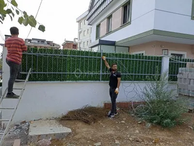 Dekoratif çimçit