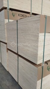 marin kontrplak su kontrası